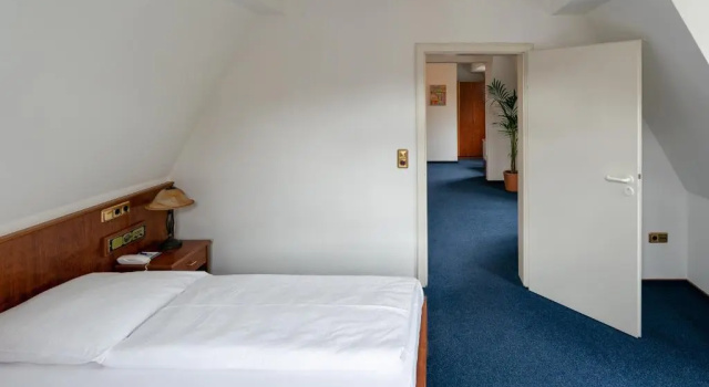 Двухместный люкс с видом на реку Hotel Nassauer Hof
