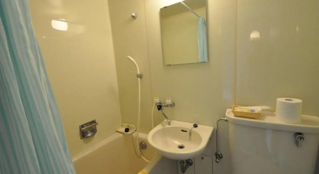 Двухместный номер Standard Guest House Wind Inn Hakuba