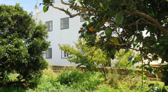 Коттедж Casas do Pomar
