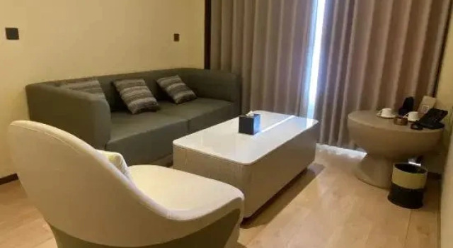 Люкс Business Litang LHA GYAL GORY HOTEL