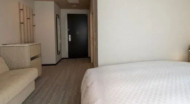 Camera singola Standard HOTEL μ STYLE INUYAMA experience