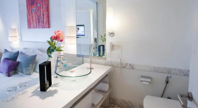 Двухместный номер Premium The Ashtan Sarovar Portico
