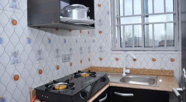 Двухместный люкс Presidential Starexx Luxury Apartment