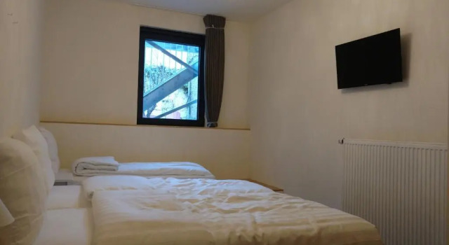 Трёхместный номер Standard Hotel Ladeuze