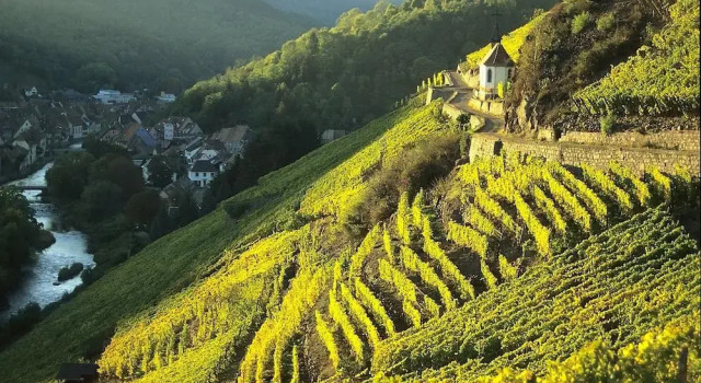 Village Vacances Le Mongade