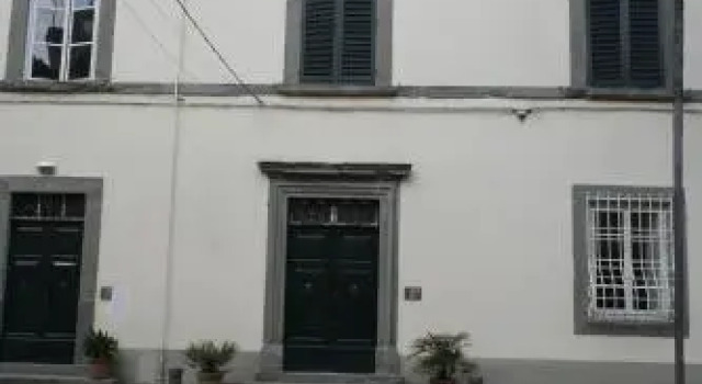 Le Palme