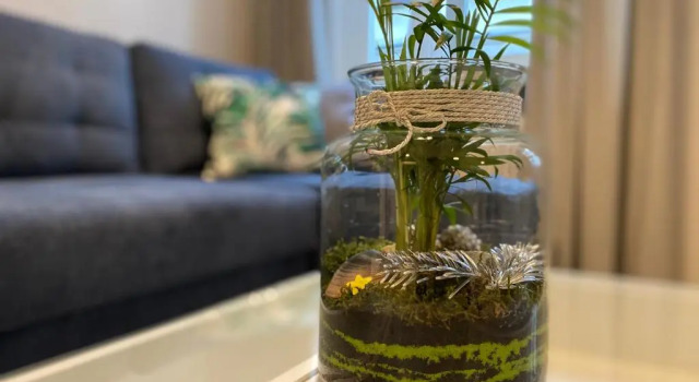 Апартаменты Apartament URBAN JUNGLE!