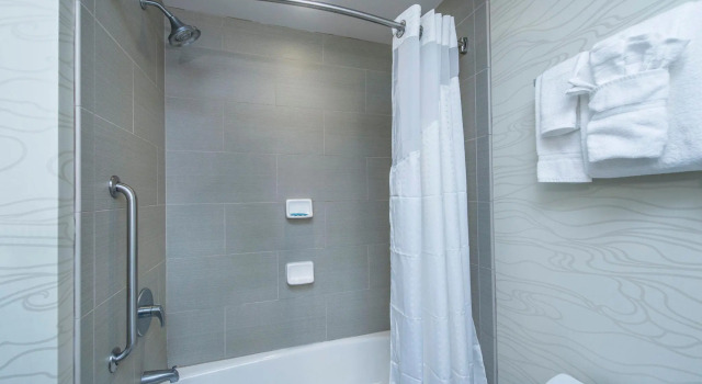 Номер Standard Holiday Inn Express & Suites Charleston Arpt-Conv Ctr Area by IHG