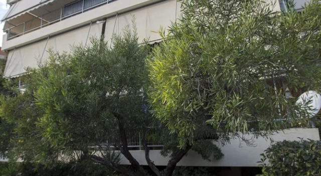 Family Holidays Apartment in Glyfada by GHH
