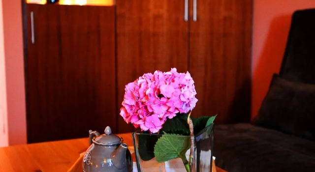 Номер Executive Boutique Hotel Kentrikon & Bungalows