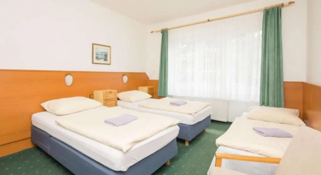 Трёхместный номер Standard Sport Hotel Gejzirpark