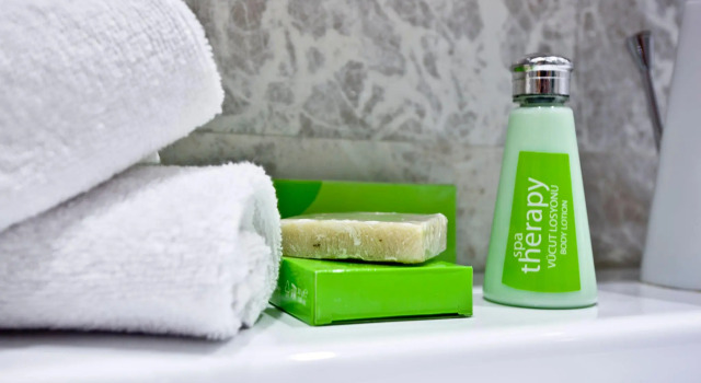 Номер Standard Holiday Inn Gaziantep by IHG
