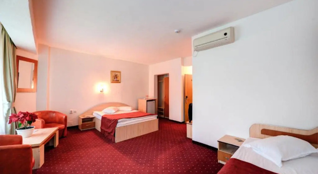 Студия Hotel Cornul Vanatorului