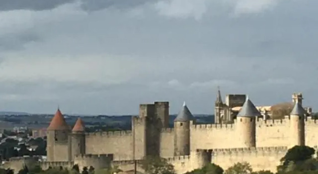 Les Orchidées, Book Hotel Billige hoteller i Carcassonne