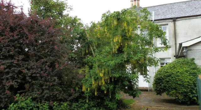 Crannagael House, Rezerwuj Hotel Armagh Armagh County