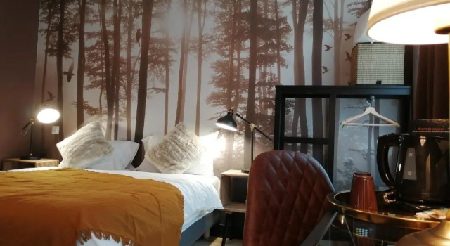 Двухместный номер Standard Hotel Du Cygne Tours