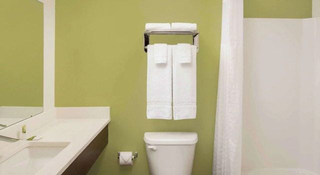 Четырёхместная студия Standard WoodSpring Suites South Plainfield