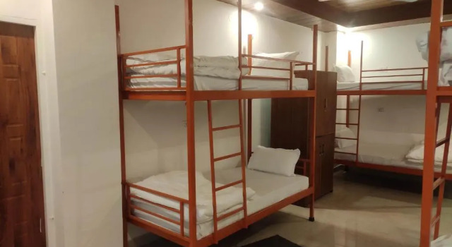 Кровать в общем номере Hill Hoppers Hotel
