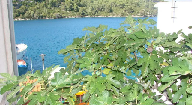 Студия Comfort X-Rooms Mljet