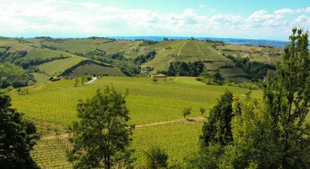 Appartamento Cà ed Michel