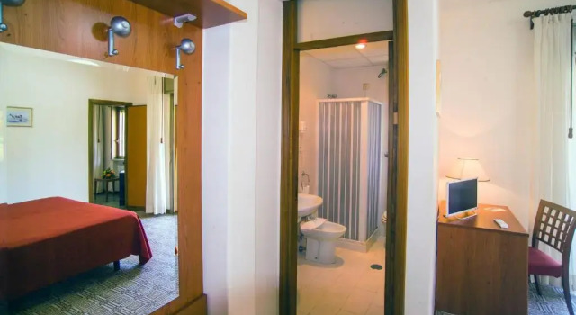 Трёхместный номер Standard Hotel delle Palme