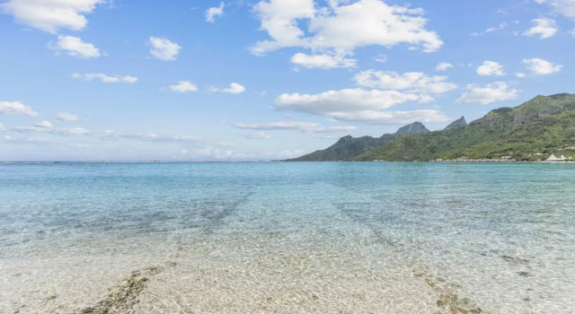 Large Private Garden Bungalow for 2 People, Prenota Appartamento Moorea Polinesia francese