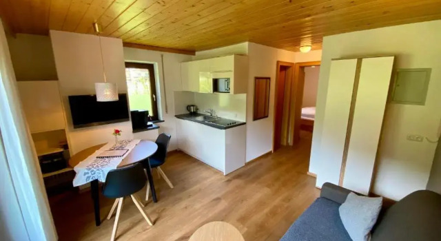 Апартаменты с балконом AlpenApart Montafon - Haus Engstler