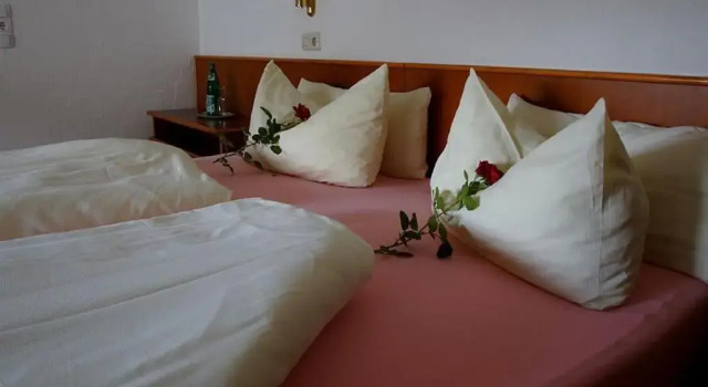 Двухместный номер Standard Elektro-Hotel Rosenhaus GmbH