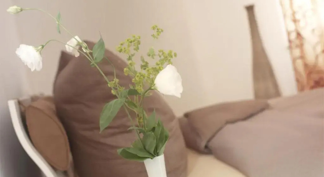 Полулюкс Deluxe Hotel Domicil Lebensart