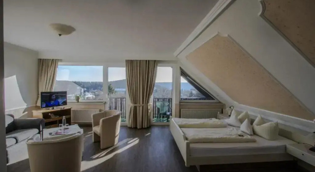 Трёхместный номер Standard Hotel Schneider