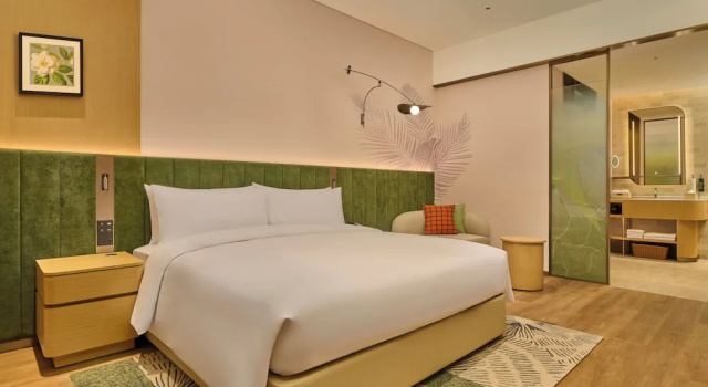 Двухместный номер Deluxe Hilton Garden Inn Chongqing Central Park