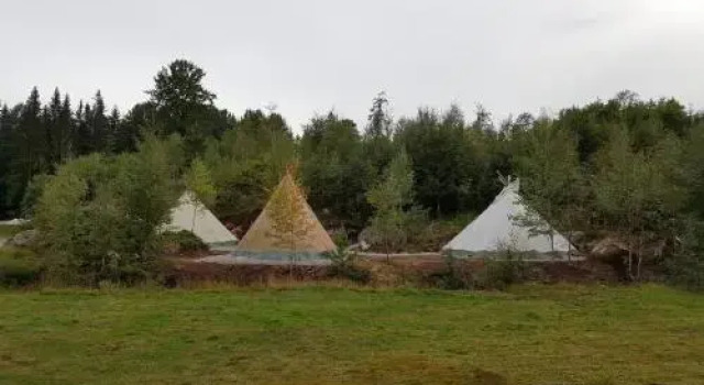 Bjørkeskogen, Reservar Casa de hóspedes Froland 