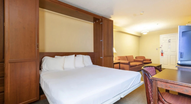 Deluxe Enkelt suite Mansion View Inn Springfield