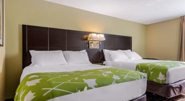 Standard- firedobbelt værelse Econo Lodge Boaz