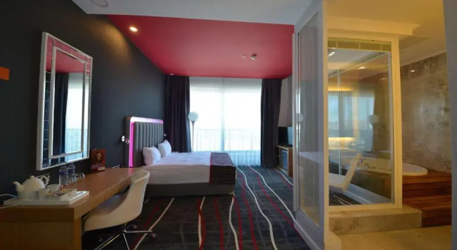 Двухместный номер Superior Park Inn by Radisson Ankara Cankaya