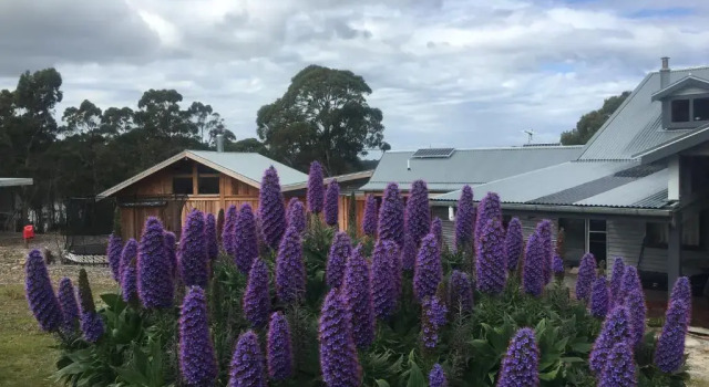 Коттедж Bruny Island Lodge
