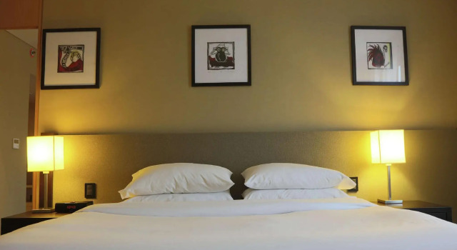 Двухместный номер Standard Hilton Garden Inn Tucuman