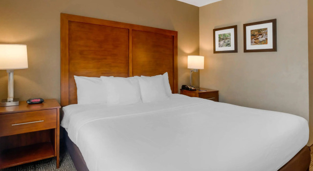 Двухместный номер Standard Comfort Inn & Suites Peachtree Corners - Norcross
