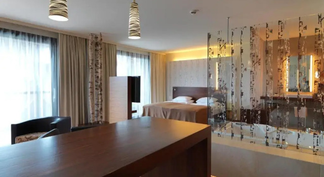 Двухместный номер Deluxe с балконом и с видом на залив Das Seepark Wörthersee Resort