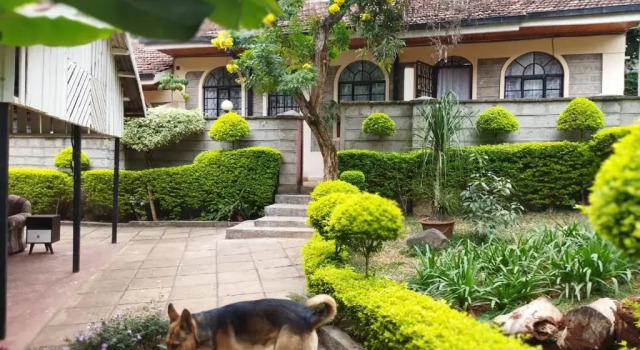 Cozy 1-bedroom cottage in Riverside with garden, Reserva ahora Casa o chalet Villas en Lavington, Villa