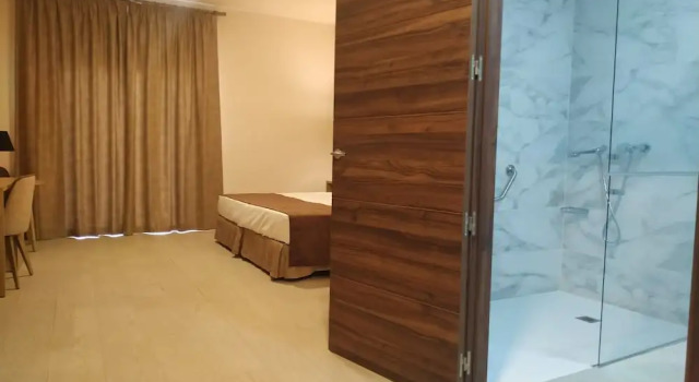 Двухместный номер Accessible Hotel Mexico