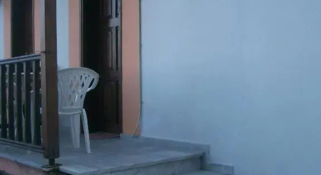 Студия Dolphins House