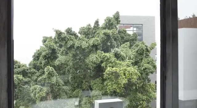 Номер Superior Xiamen Hotel Wind