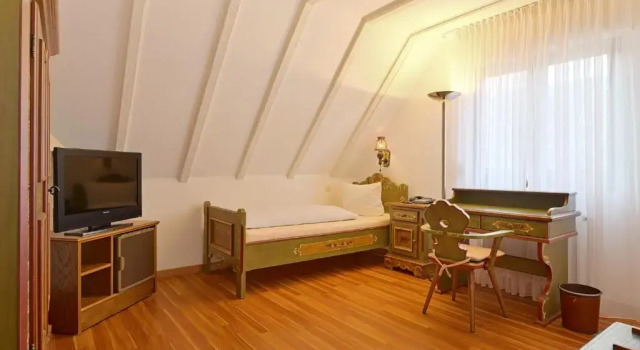 Одноместный номер Standard Hotel-Restaurant Zur Post