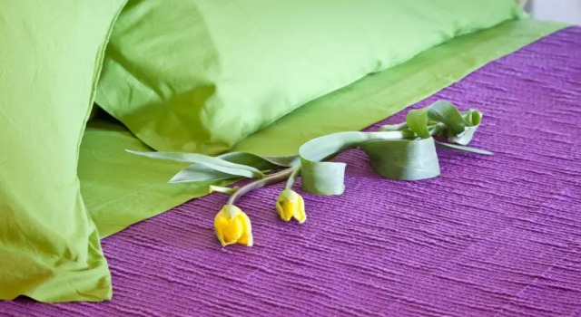 Апартаменты Дуплекс c 1 комнатой Montemenardo Organic Resort  Spa