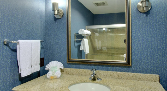 Четырёхместный номер Standard Holiday Inn Houston East-Channelview by IHG