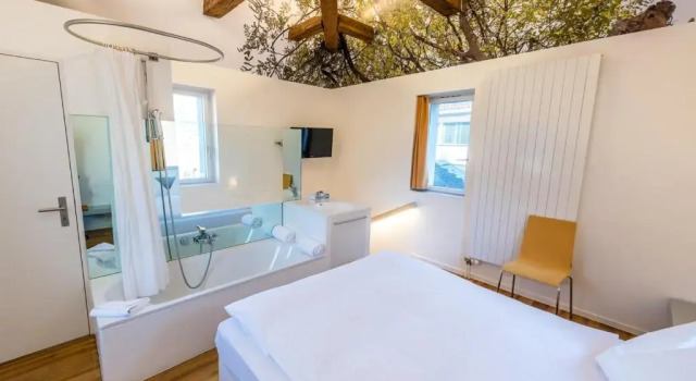 Двухместный номер Standard Hôtel de la Poste Sierre