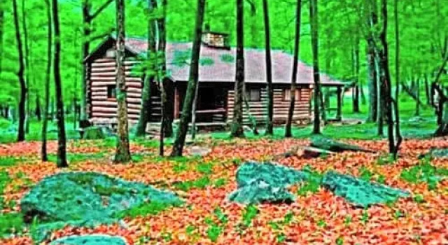 Двухместное бунгало Cacapon State Park Lodge