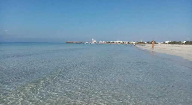 Апартаменты Beach & Friends case vacanza a 250m dalle spiagge sabbiose