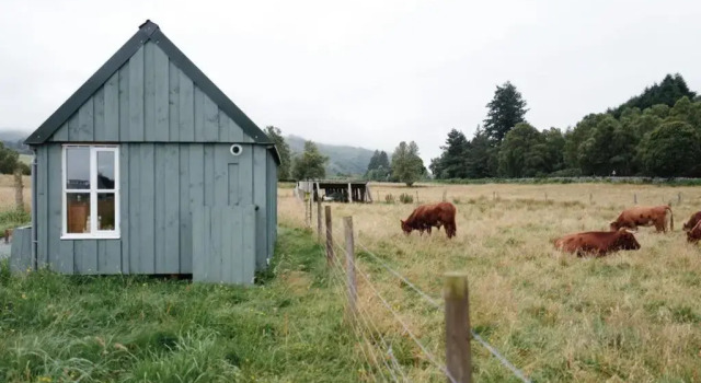 Шале The Field House